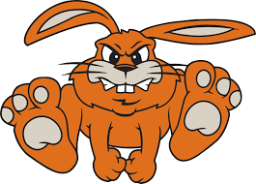 Fisher High School mascot