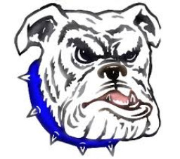 Madison Area Memorial High School mascot