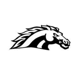 South Fork Junior Senior High School mascot