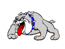 Carlton High School mascot