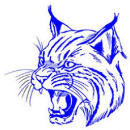 Delta High School mascot