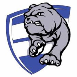 Brookfield High School mascot