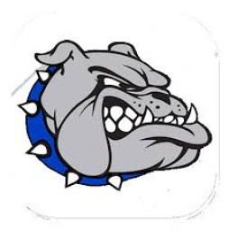 Cabool High School mascot