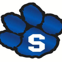 Saltillo High School mascot