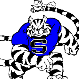 stone High School mascot