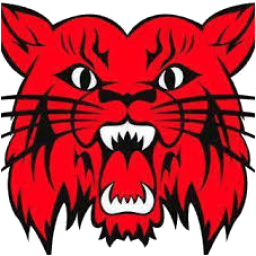 Central City High School mascot