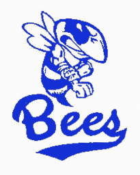 Bloomfield High School mascot