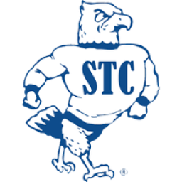 Hastings St. Cecilia High School mascot