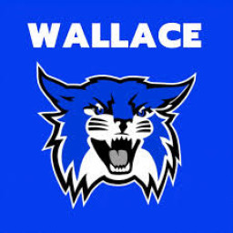 Wallace High School mascot