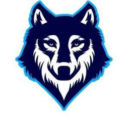 Immaculate Conception High School mascot