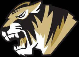 Fayette County High School mascot