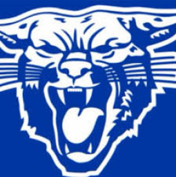 Lovington High School mascot