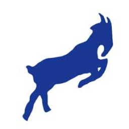 Williamsville South High School mascot