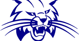 Cambridge High School mascot