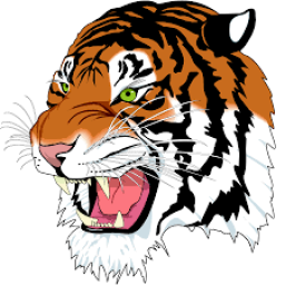 Hurley High School mascot