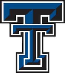 Trinity High School mascot