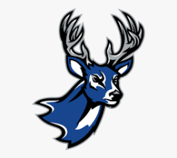 Deer Creek High School mascot