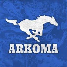 Arkoma High School mascot