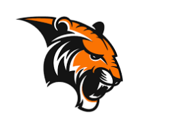 Erie High School mascot