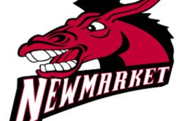 Newmarket Junior Senior High School mascot