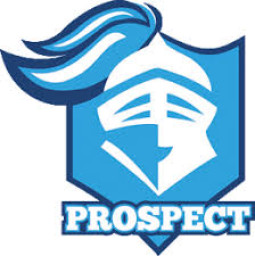 Prospect High School mascot