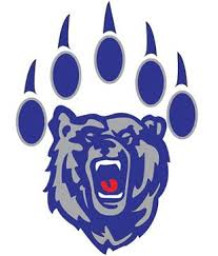 Newport High School mascot