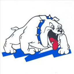 West York Area High School mascot