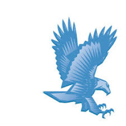 Blue Mountain High School mascot