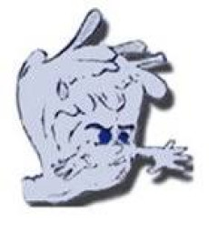 Hope High School mascot