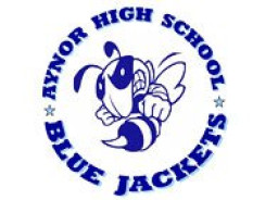 Aynor High School mascot