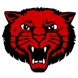 Mena Senior High School mascot