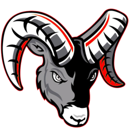 BorRegionalo Springs High School mascot