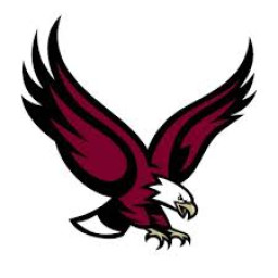 Paonia High School mascot