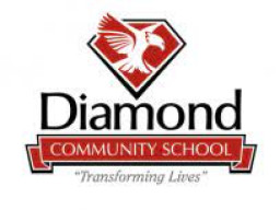 Diamond Community School mascot