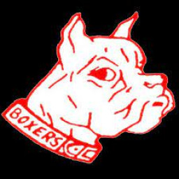 Brockton High School mascot