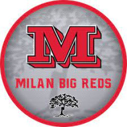 Milan High School mascot