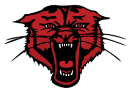 Lesterville High School mascot