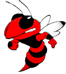 Crystal City High School mascot