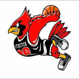 Cardinal Stritch High School mascot