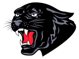 Bowler High School mascot