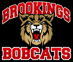 Brookings High School mascot