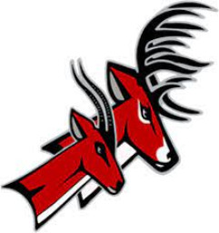 Yankton High School mascot