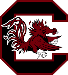 Cocke County High School mascot