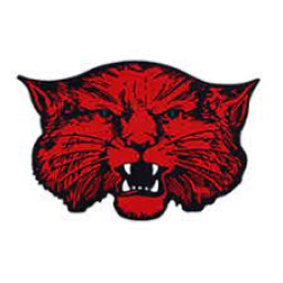 Ballinger High School mascot