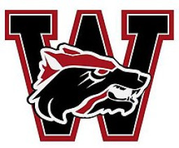 Wichita Falls High School mascot