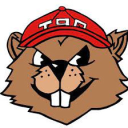 Tenino High School mascot