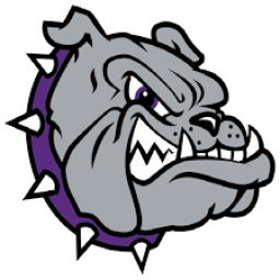 Beresford High School mascot