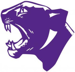 Chesapeake High School mascot