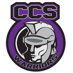 Community Christian School mascot