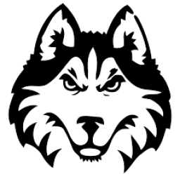 Albany High School mascot